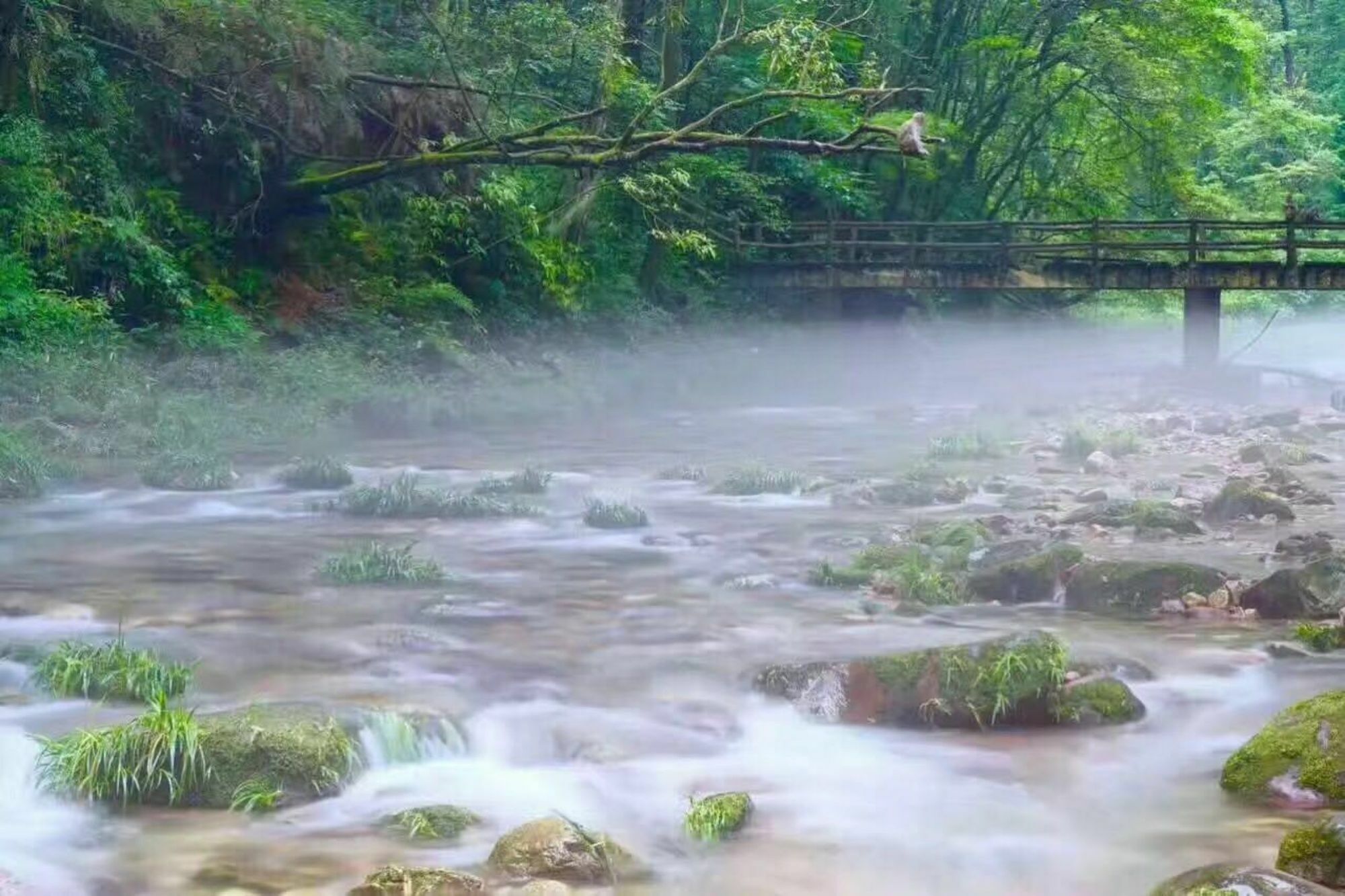 Zhangjiajie Yueranju Hostel エクステリア 写真
